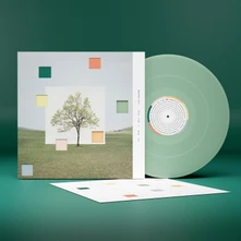 Washed Out, Vinyl NOTES FROM A QUIET LIFE