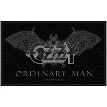 Ordinary Man thumbnail