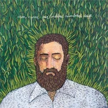 Iron & Wine, CD OUR ENDLESS NUMBERED DAYS