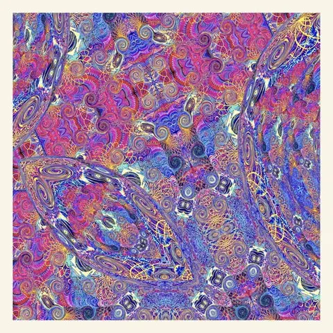 Carlos Niño & Friends – Vinyl PLACENTA (Purple Vinyl)