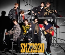 CD Skz2020