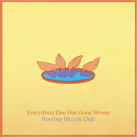 EVERYTHING ELSE HAS GONE WRONG/DLX
