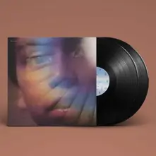 Vinyl FAR IN