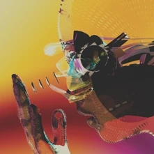 Motion Graphics, CD MOTION GRAPHICS