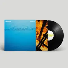 Vinyl SUDDENLY