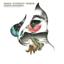 CD SPEDDING, CHRIS - SONGS WITHOUT WORDS